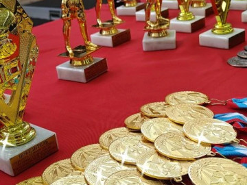 7a5503d5-d503-490e-8dd4-9f541cf1a7f7